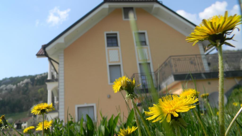 Silva Marija Apartment *